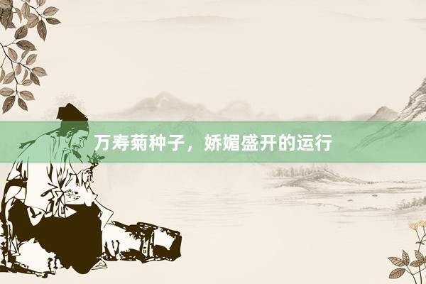 万寿菊种子，娇媚盛开的运行